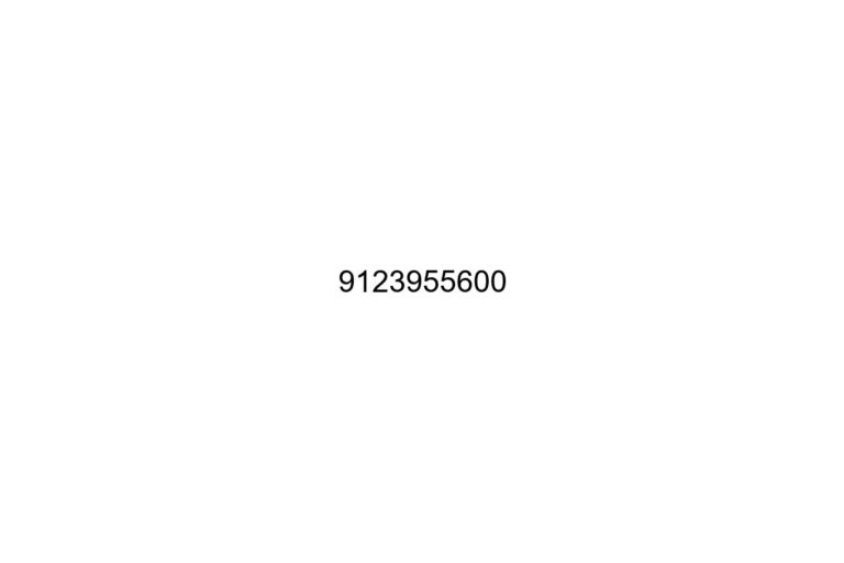 9123955600