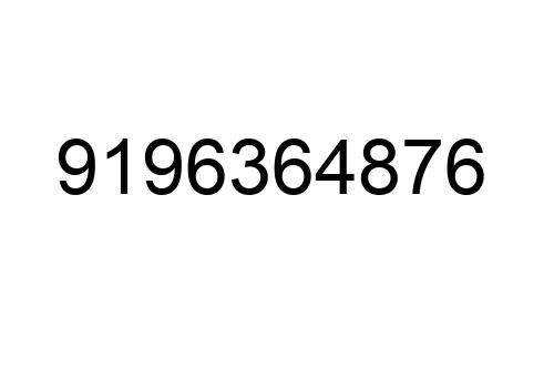 9196364876