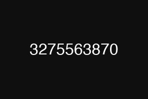 3275563870