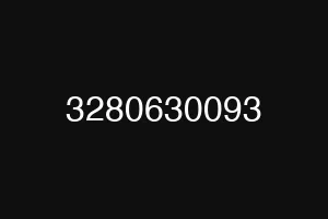 3280630093