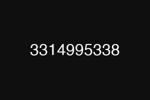 3314995338