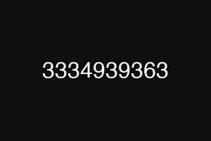 3334939363