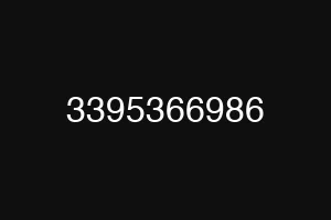 3395366986