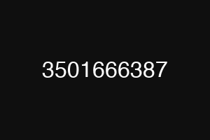 3501666387