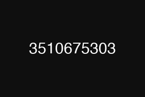 3510675303