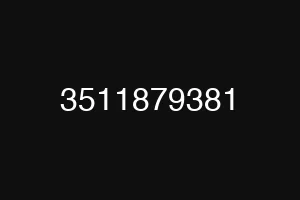 3511879381