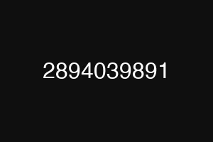 2894039891