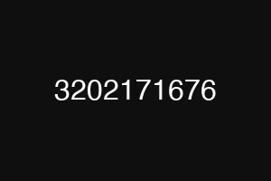 3202171676