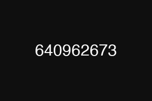 640962673