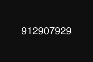 912907929