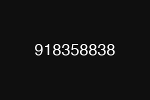 918358838