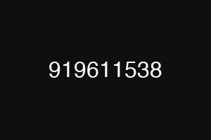 919611538