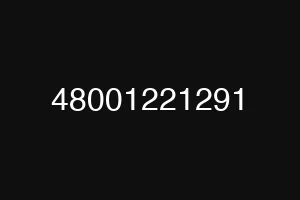 48001221291
