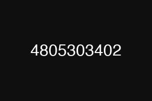 4805303402