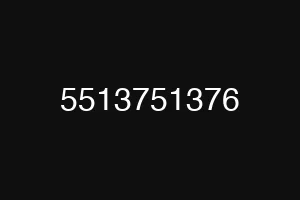 5513751376