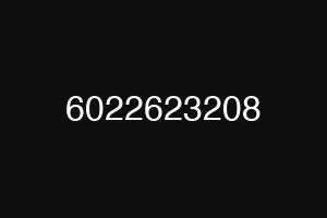 6022623208