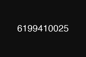 6199410025