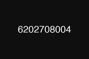 6202708004
