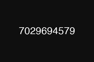 7029694579