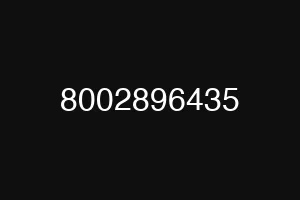 8002896435