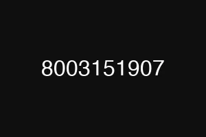 8003151907
