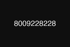 8009228228
