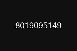 8019095149
