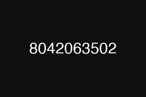 8042063502