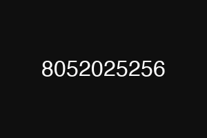 8052025256