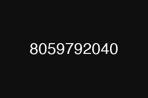 8059792040