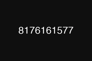 8176161577