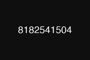 8182541504