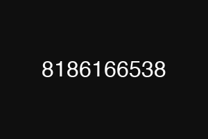 8186166538
