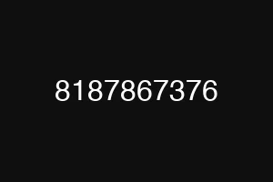 8187867376