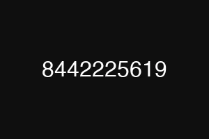 8442225619