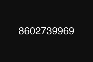 8602739969