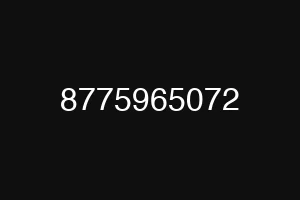 8775965072